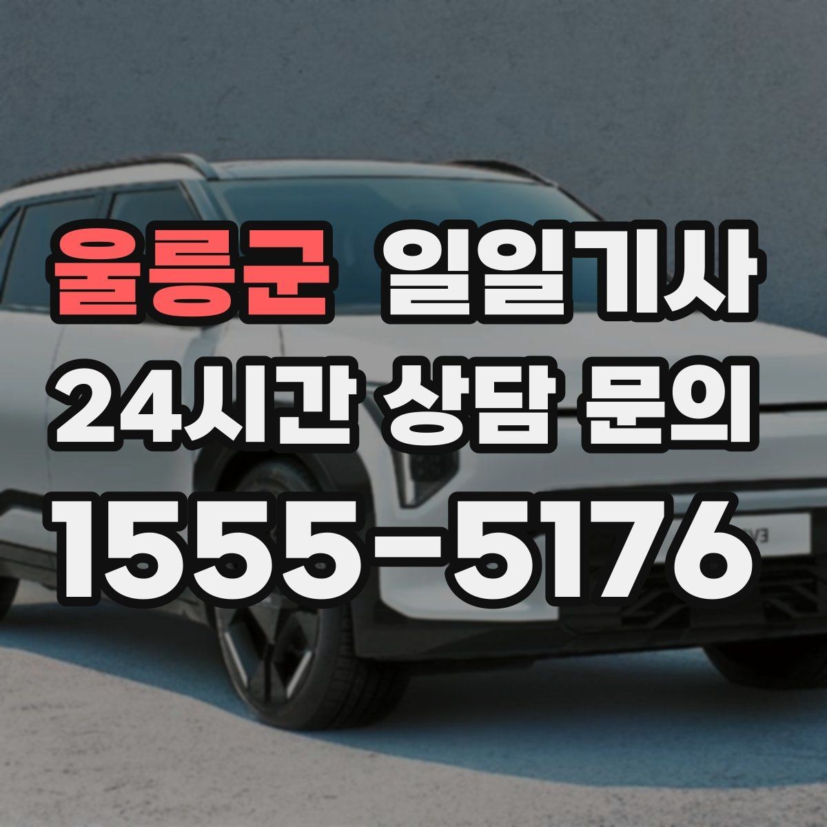 울릉군 일일기사 조용한 주행 안정감 제공