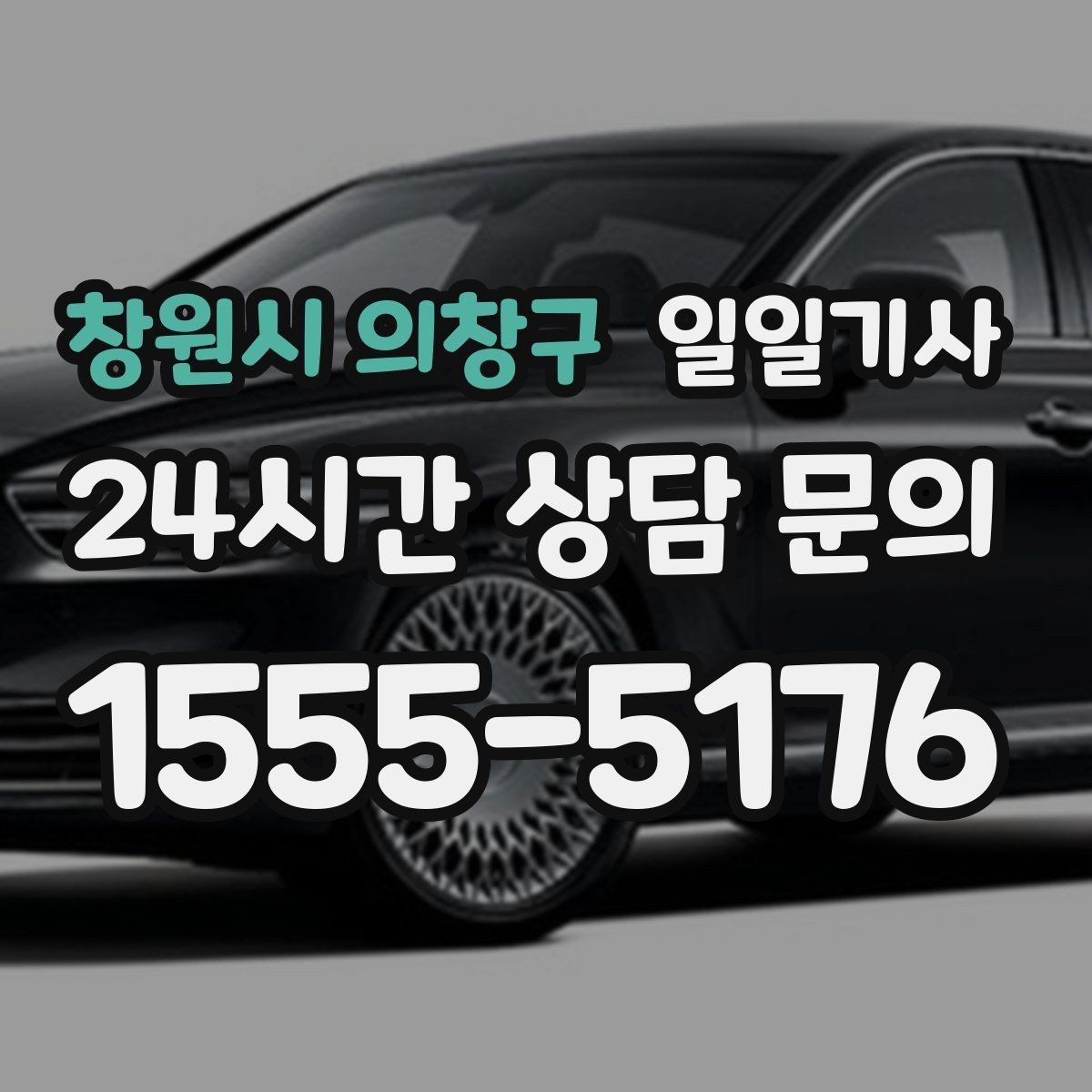 창원시 의창구 일일기사 공항 시간 여유 있게 도착
