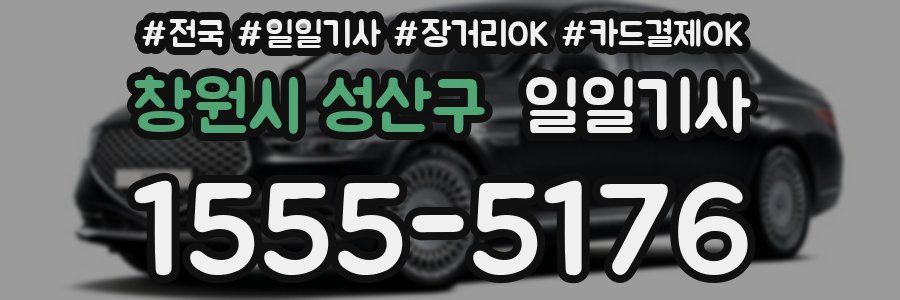 창원시 성산구 일일기사