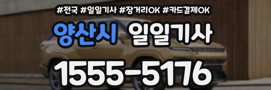 양산시 일일기사