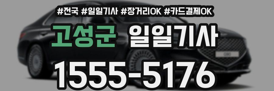 고성군 일일기사