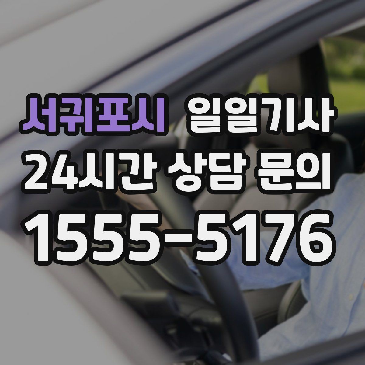 서귀포시 일일기사 픽업과 하차가 정확해지는 하루