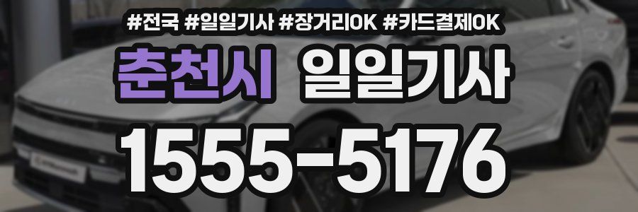 춘천시 일일기사