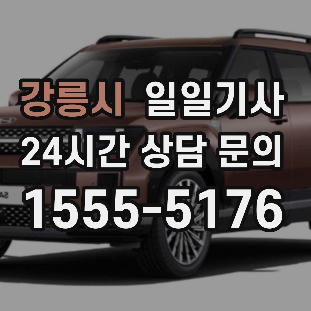 강릉시 일일기사 문앞 안전 확인 마무리