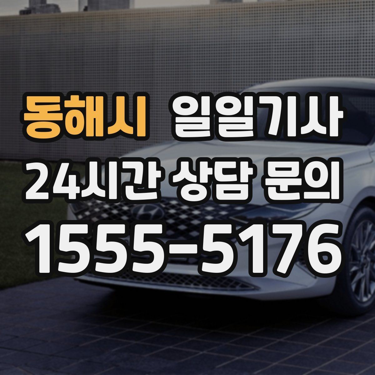 동해시 일일기사 KTX 역 왕복 시간 맞춰 이동