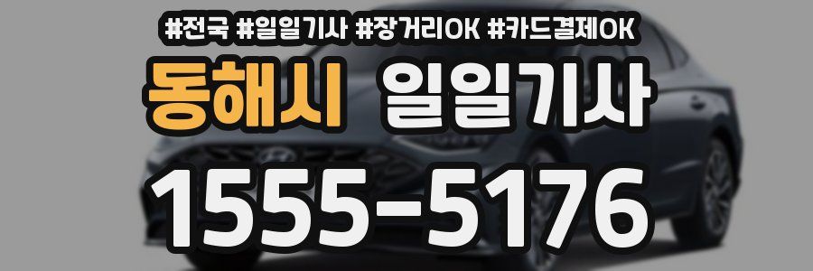 동해시 일일기사