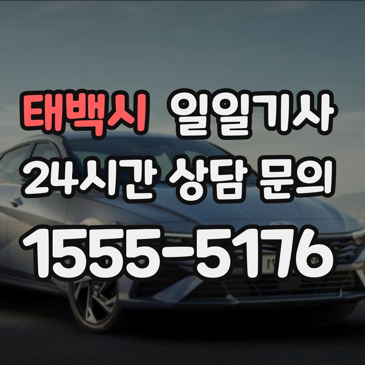 태백시 일일기사 밝은 장소 승하차 지원
