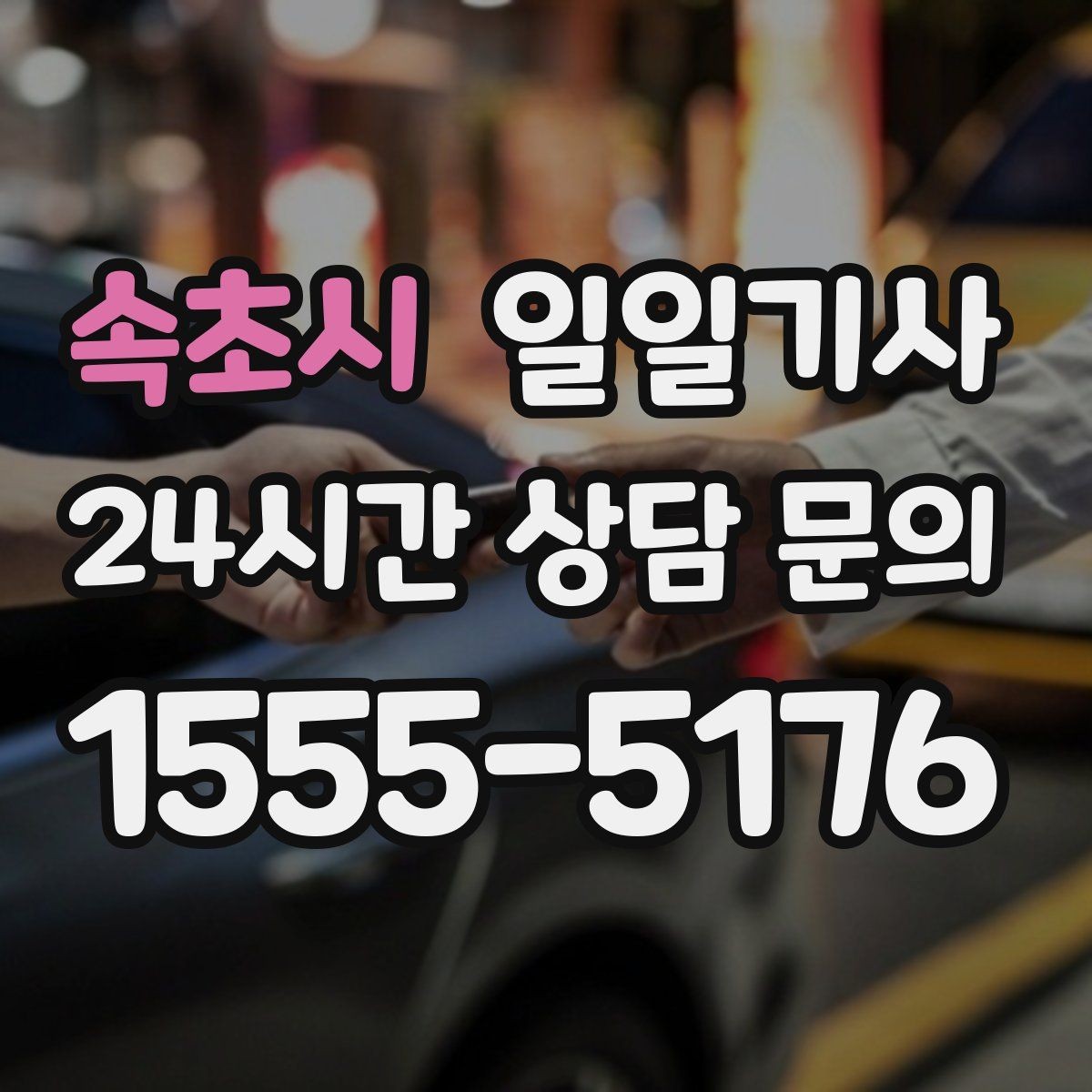 속초시 일일기사 팀 단위 일정 동시 배차 OK