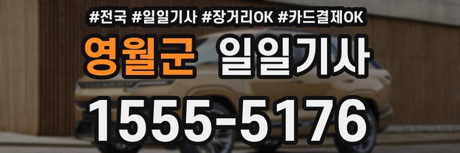 영월군 일일기사