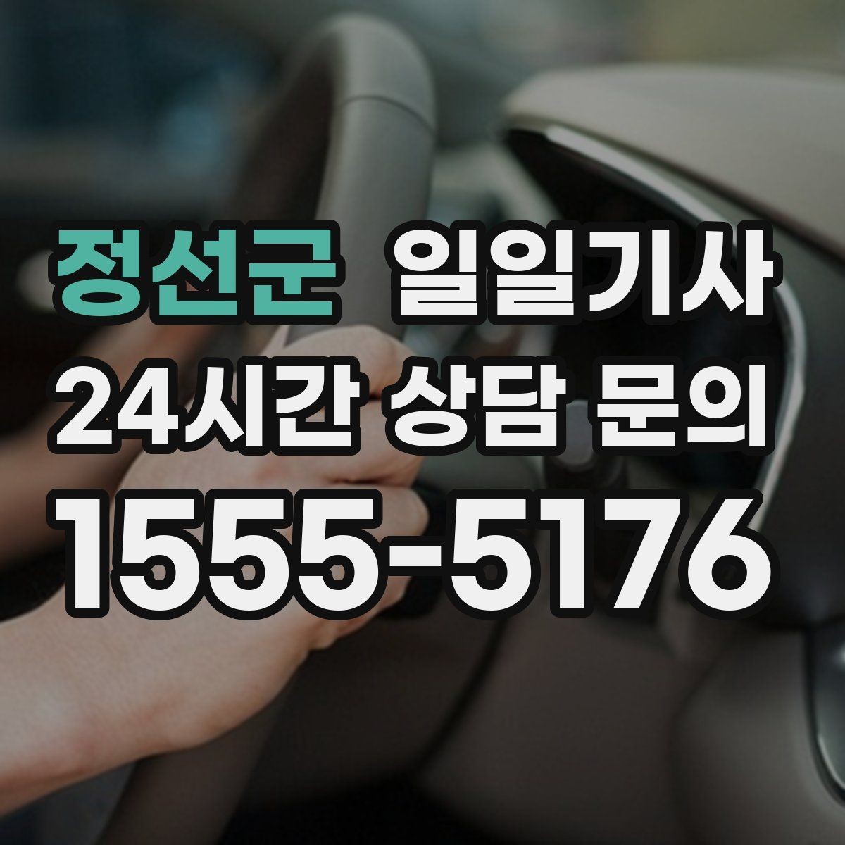 정선군 일일기사 캠퍼스 행사 혼잡 완화