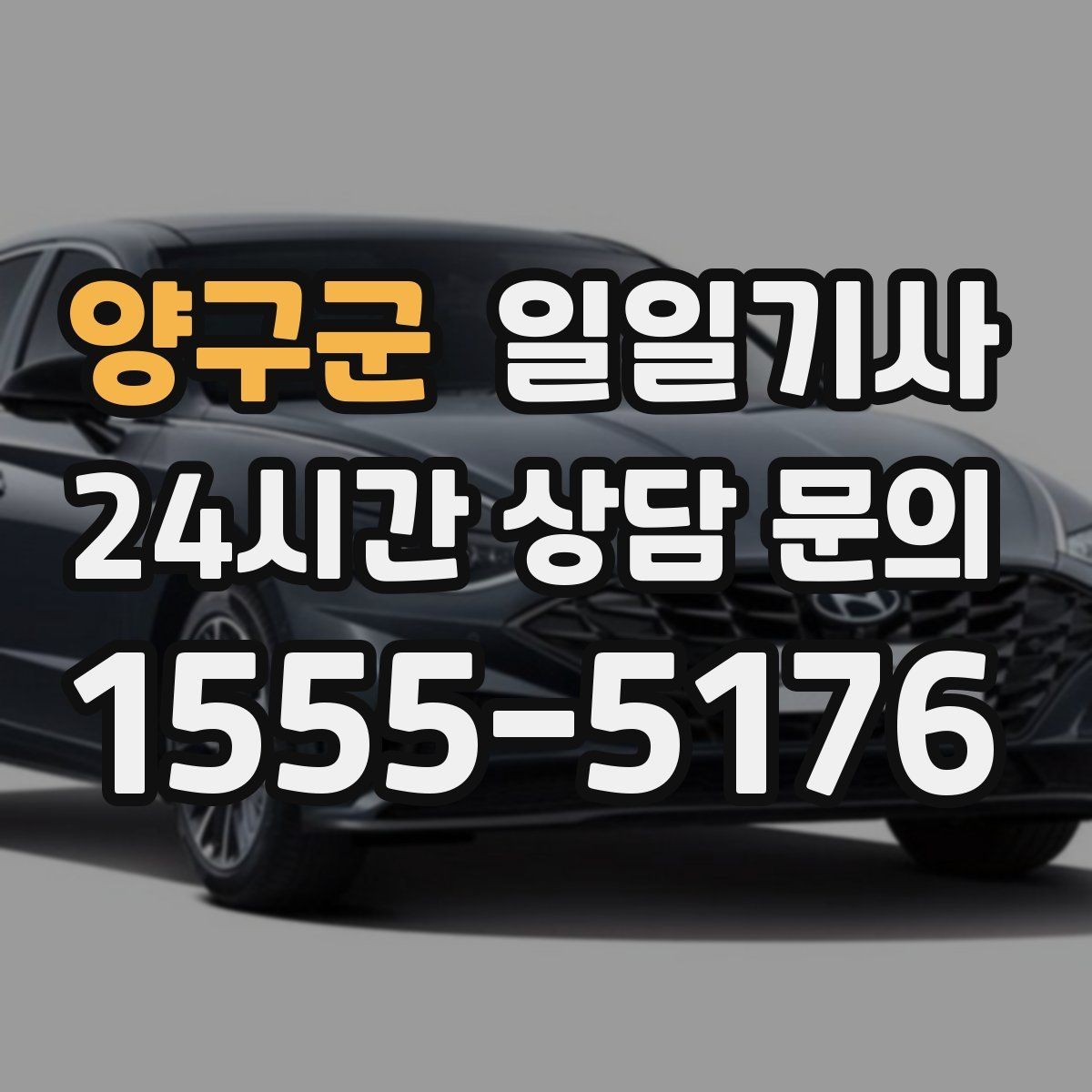 양구군 일일기사 무리한 코스 배제 안전 제일