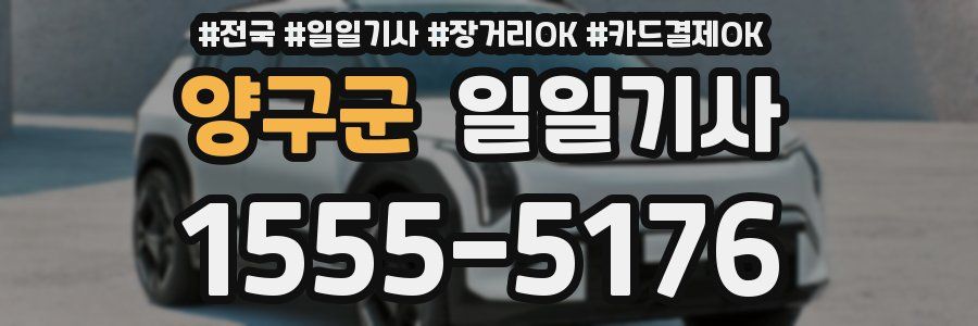 양구군 일일기사