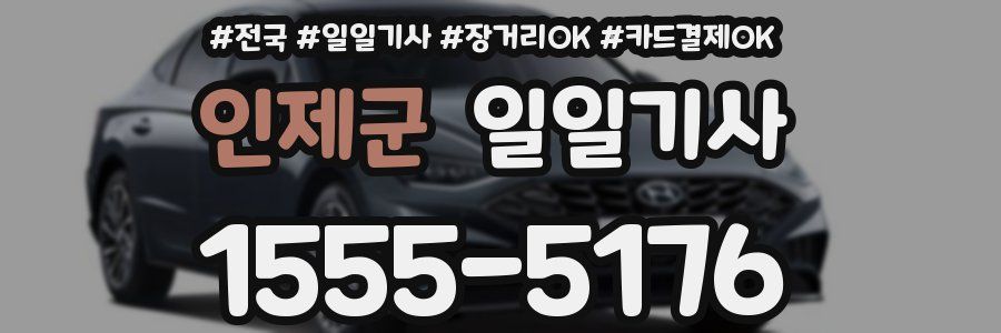 인제군 일일기사