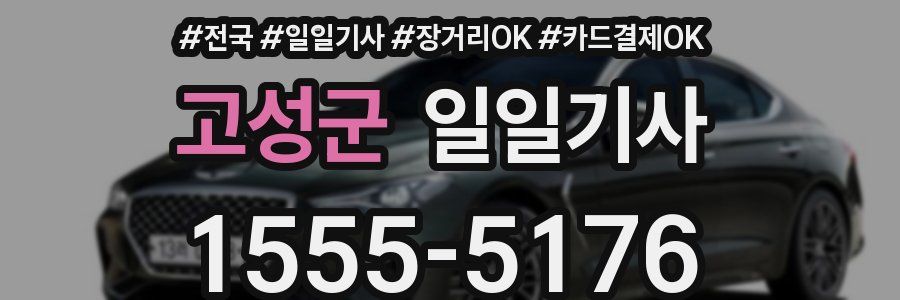 고성군 일일기사