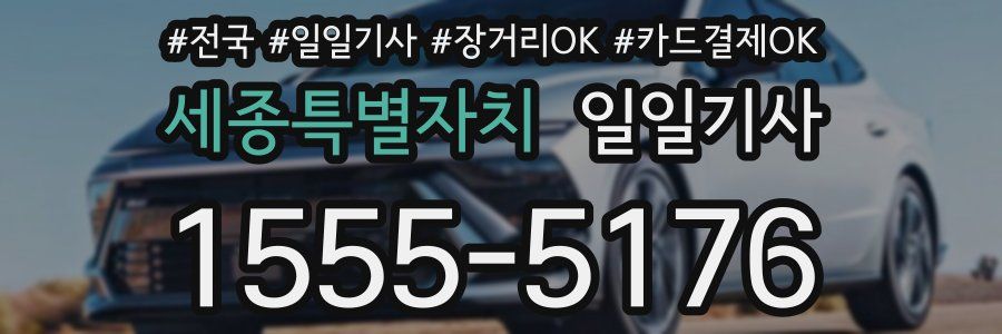 세종특별자치 일일기사