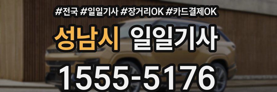 성남시 일일기사