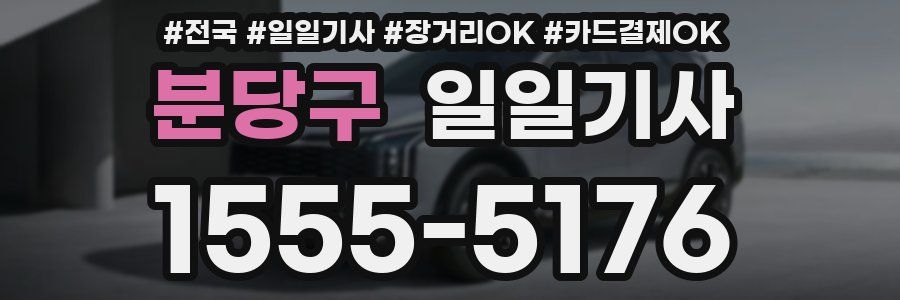 분당구 일일기사