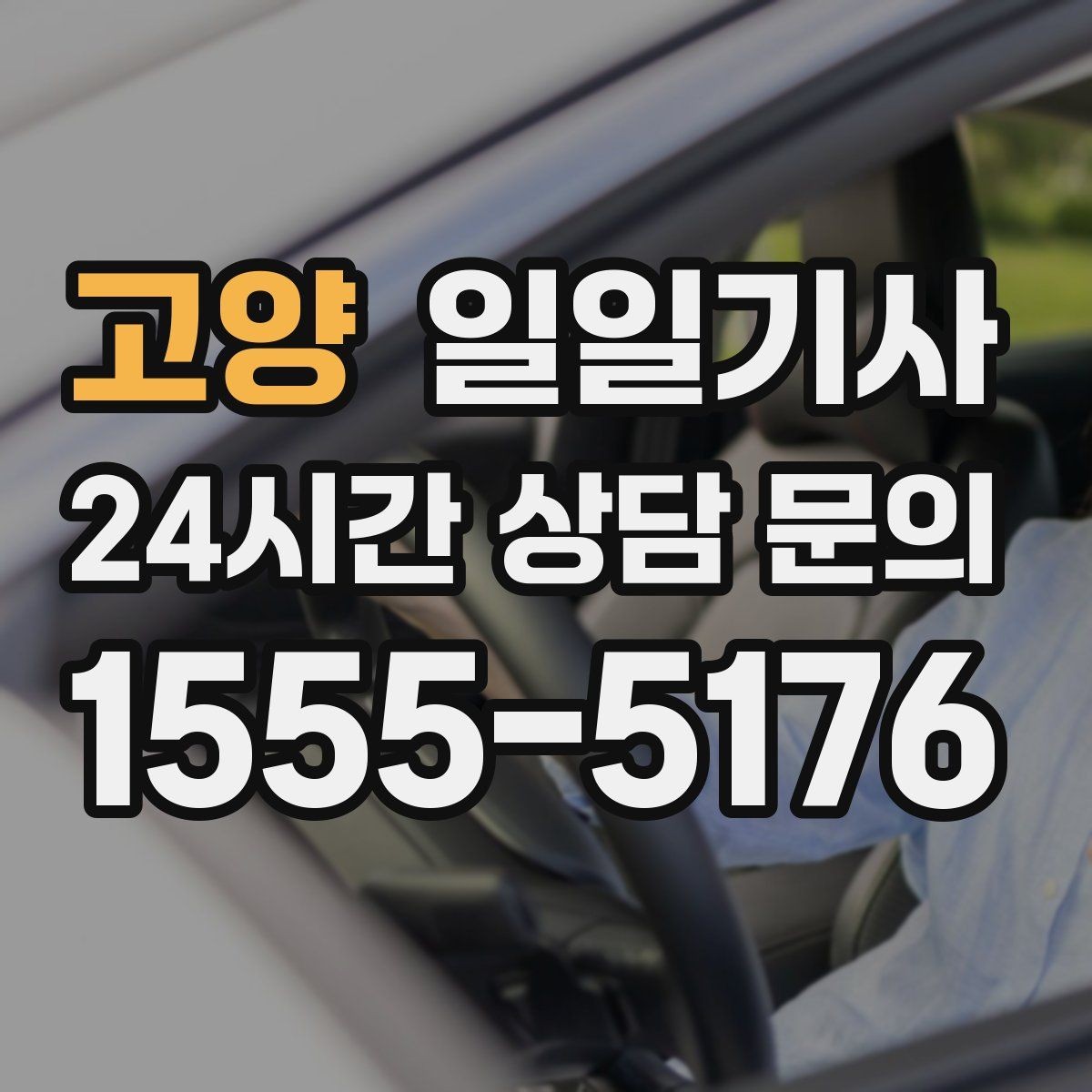 고양 일일기사 전시장 차량 이동 지원