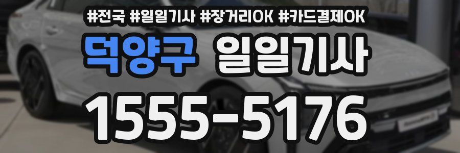 덕양구 일일기사