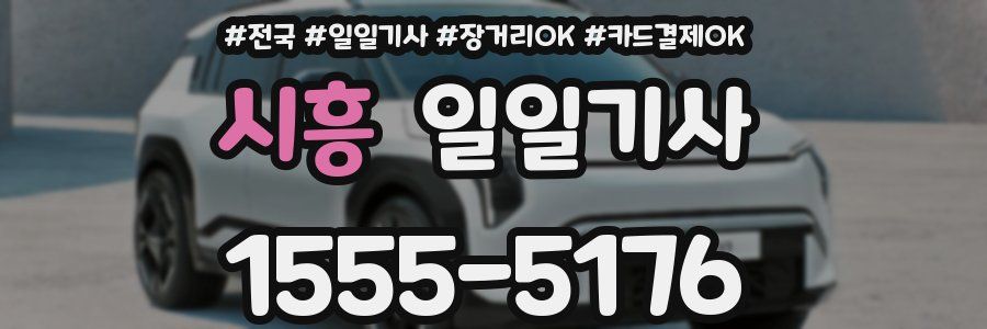시흥 일일기사