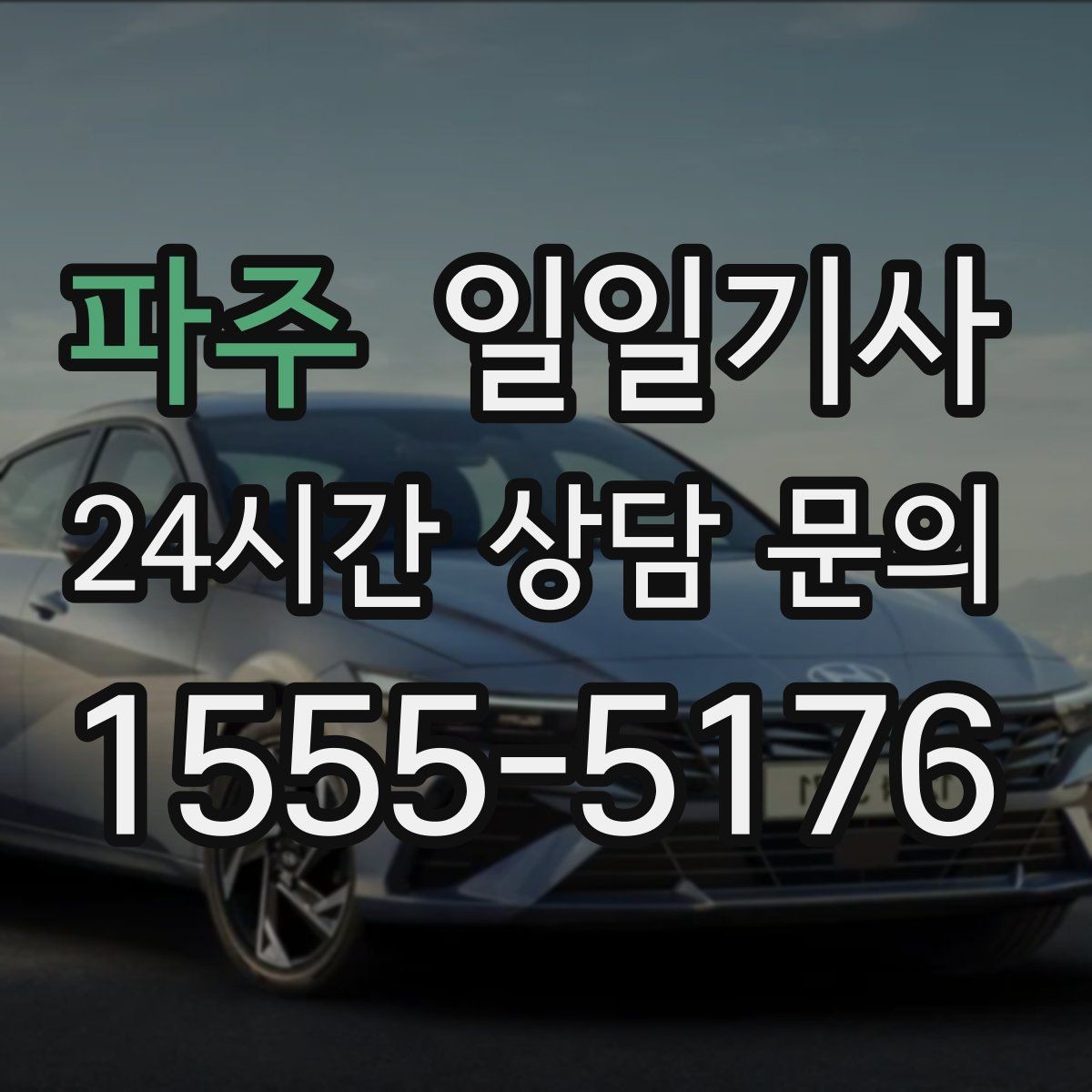 파주 일일기사 오후 반일 동행으로 여유를 채우는 날