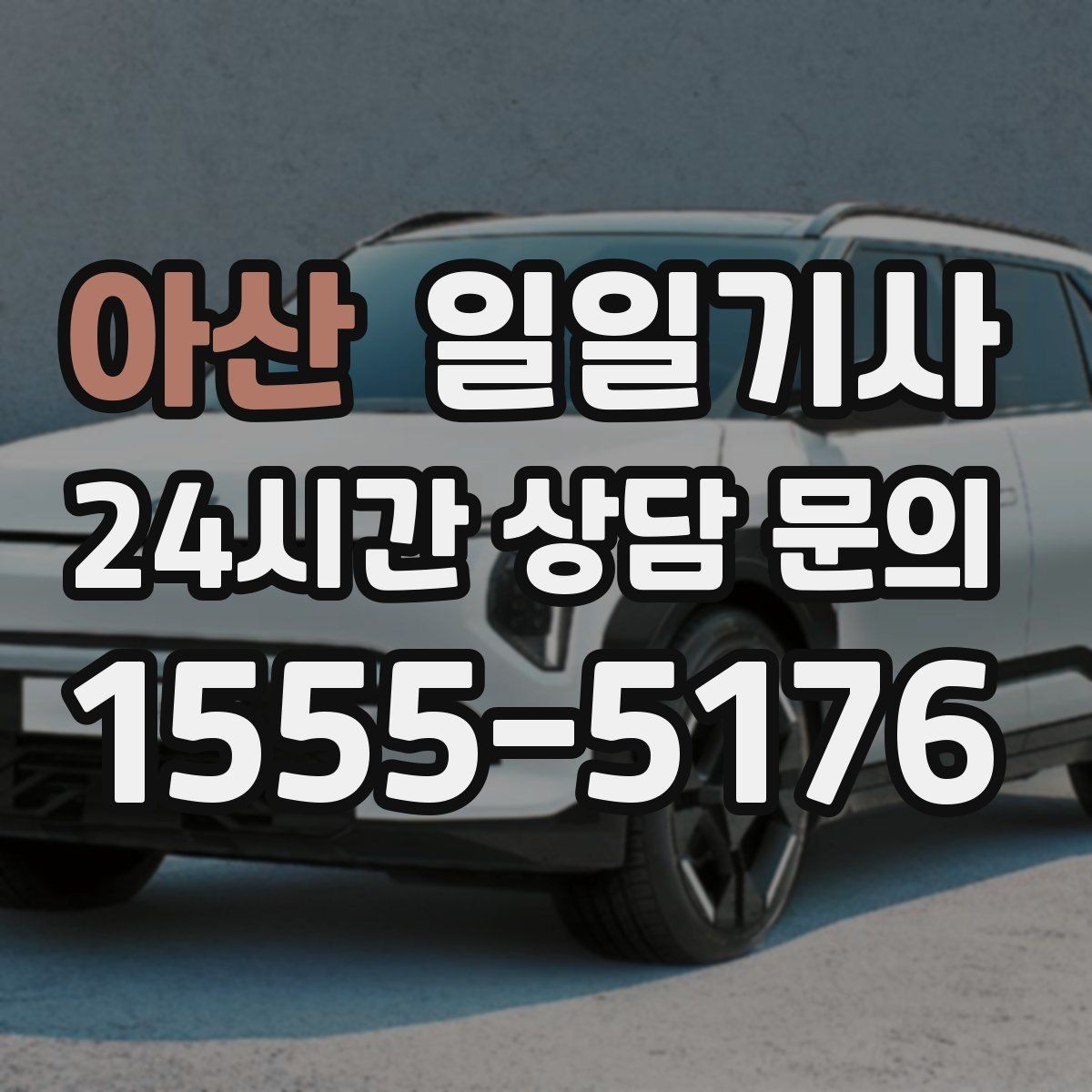 아산 일일기사 종일 일정 전담 동행