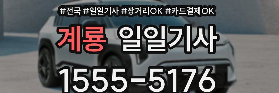 계룡 일일기사