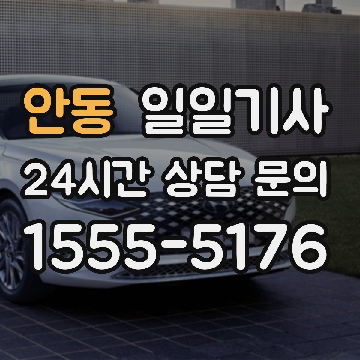 안동 일일기사 캠퍼스 행사 혼선 예방