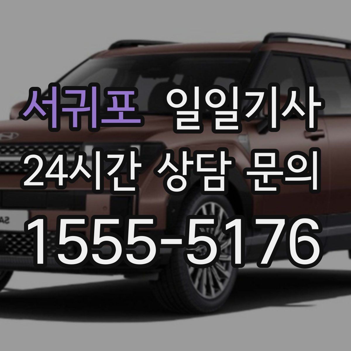 서귀포 일일기사 공항 왕복 전담 배치