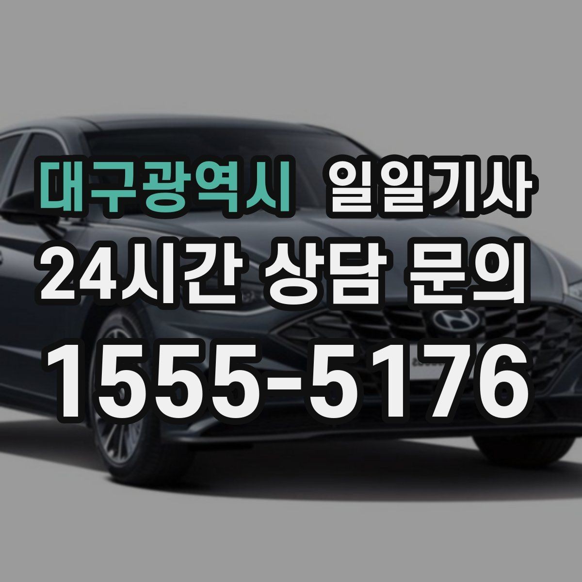 대구광역시 일일기사 의전 성격 일정도 품격 있게