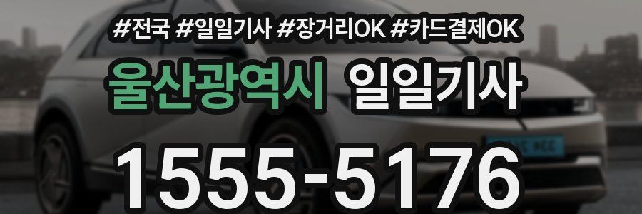 울산광역시 일일기사
