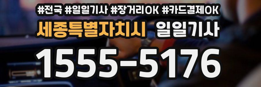 세종특별자치시 일일기사