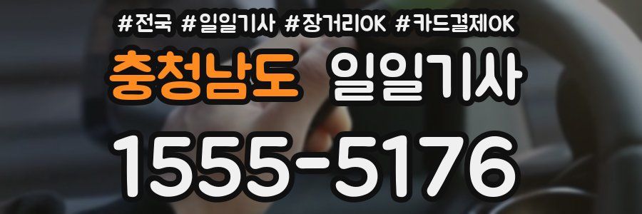 충청남도 일일기사