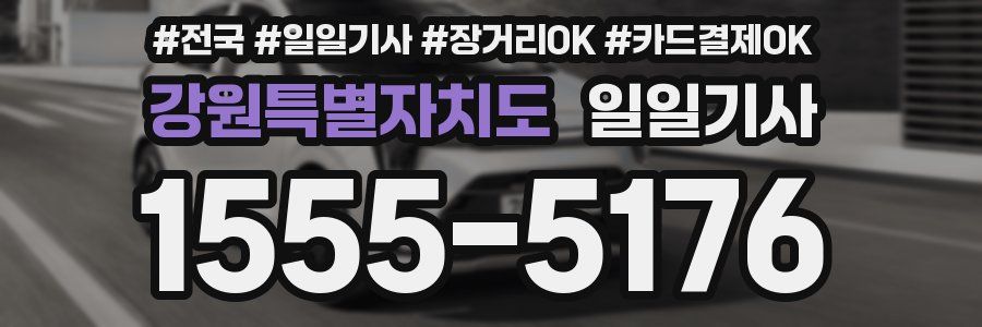 강원특별자치도 일일기사