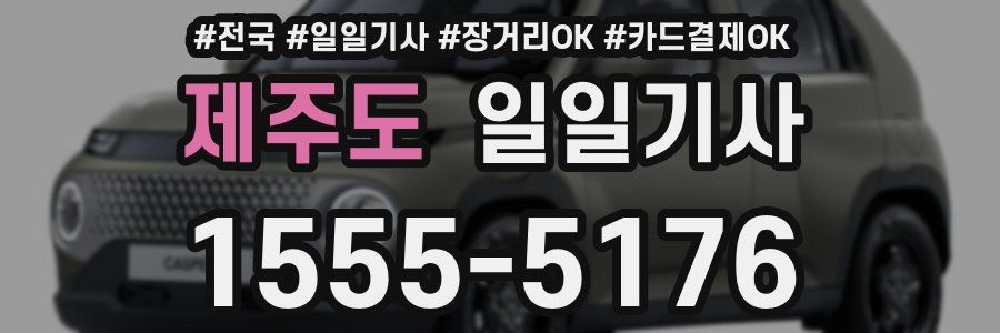 제주도 일일기사