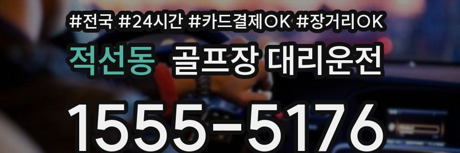 적선동 골프장 대리운전