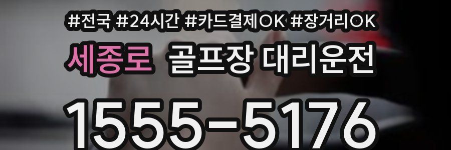 세종로 골프장 대리운전