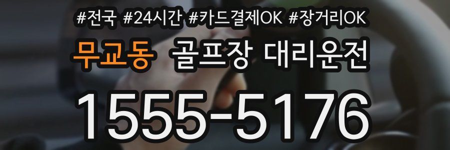 무교동 골프장 대리운전