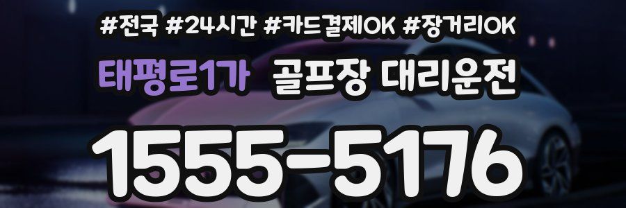 태평로1가 골프장 대리운전