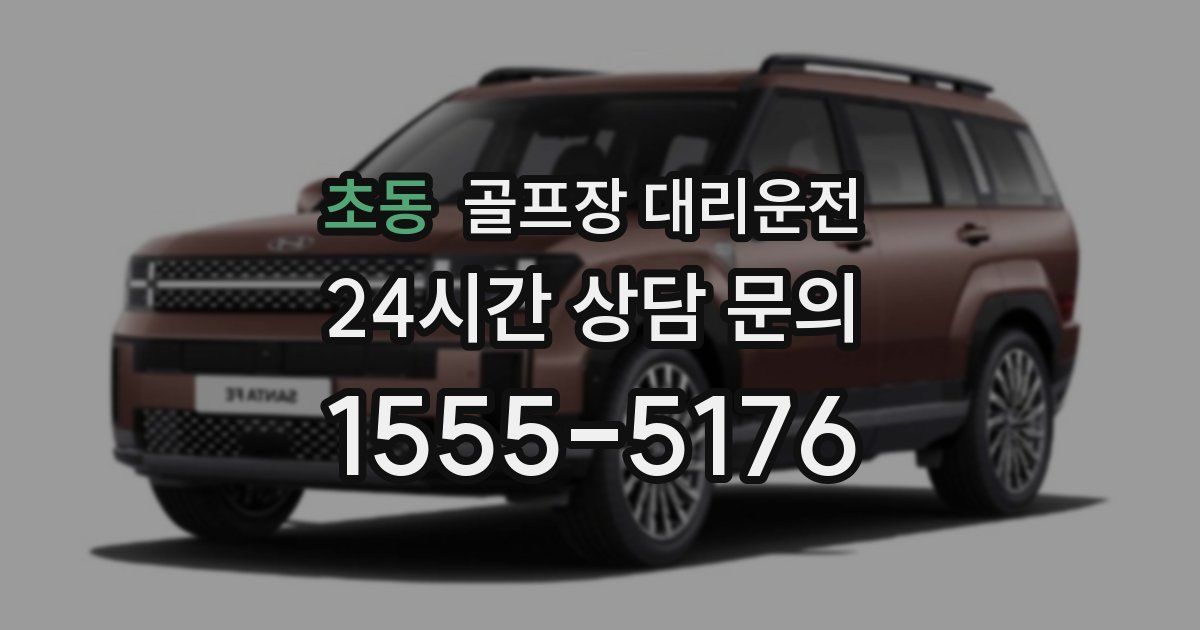 골프장 대리운전 서비스