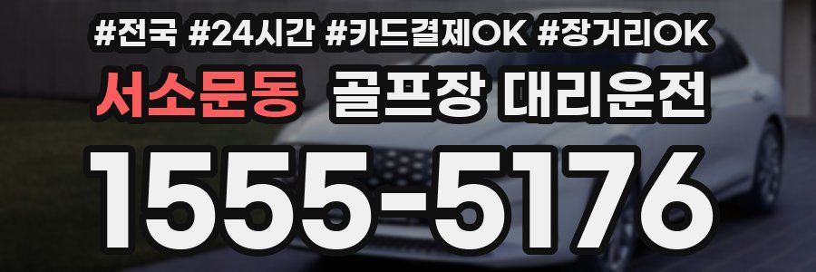 서소문동 골프장 대리운전