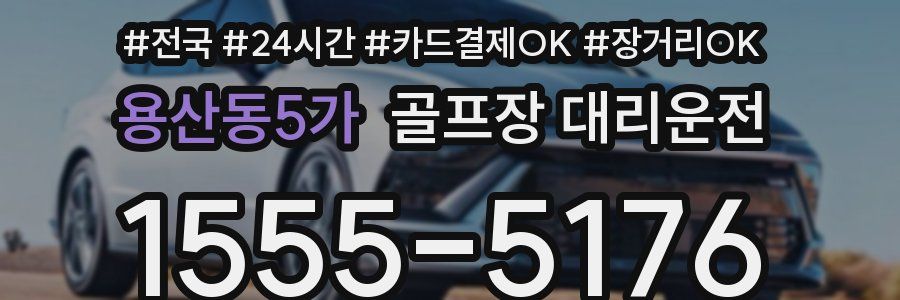 용산동5가 골프장 대리운전