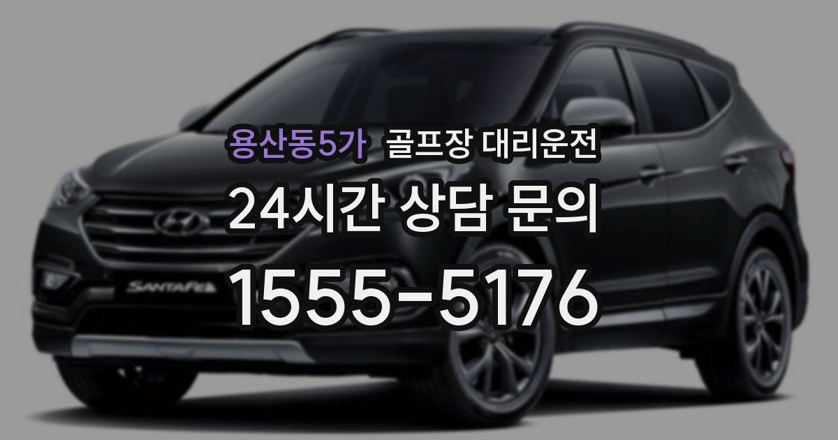 골프장 대리운전 서비스