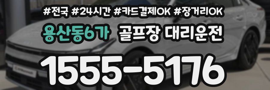 용산동6가 골프장 대리운전