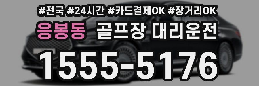 응봉동 골프장 대리운전
