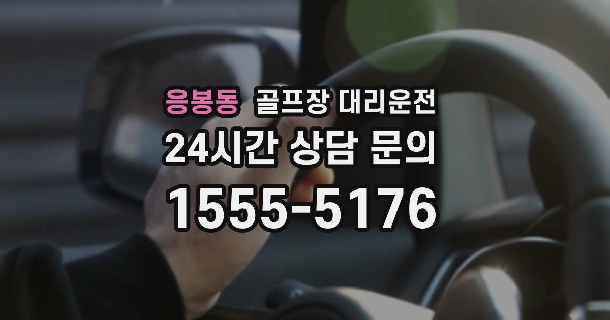 골프장 대리운전 서비스