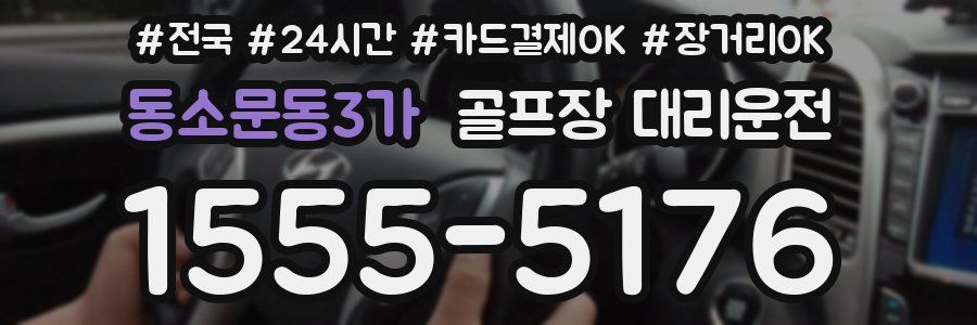 동소문동3가 골프장 대리운전