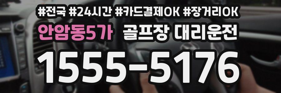 안암동5가 골프장 대리운전
