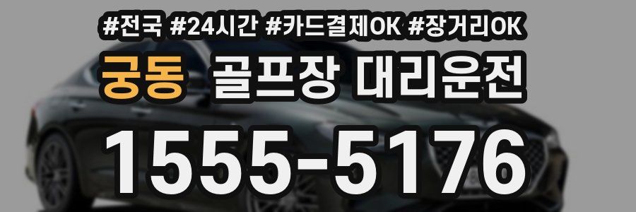 궁동 골프장 대리운전