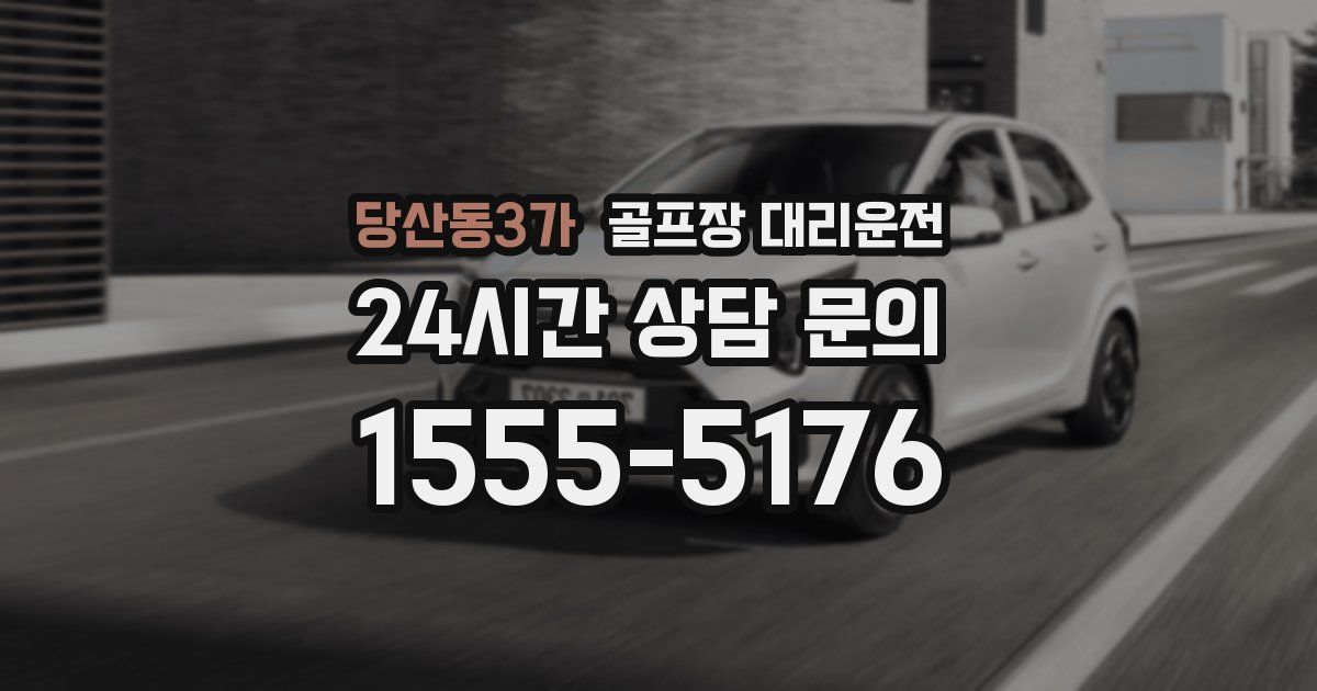 골프장 대리운전 서비스